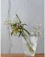 Iittala vaza Kastehelmi 15.4 cm 2