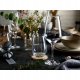 Raudono vyno taurės VIVO Villeroy & Boch Group Voice Basic, 4 vnt. 2