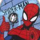 *****Plecak szkolny mały Spiderman 4390 50633 5