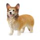 Schleich Welsh Corgi 1