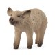Schleich Mangalica Piglet 1