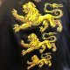 Triple Lion Kappe Udklædning 1