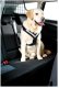 Hundesele MIMsafe Allsafe - Large 2