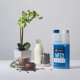 Cafetto - MFC Blue Alkaline Milk Frother Cleaner - Płyn do czyszczenia systemów spieniania mleka 1l 2