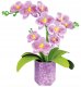 Floral Art Orchid 3