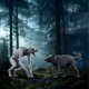 Schleich Werewolf vs. Animagus 6