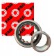 FAG NU203-E-TVP2 Cylinderrullelejer Borings-diameter 17 mm Udvendig diameter 40 mm Omdrejningstal (maks.) 18000 rpm 5