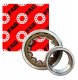 FAG NJ202-E-TVP2 Cylinderrullelejer Borings-diameter 15 mm Udvendig diameter 35 mm Omdrejningstal (maks.) 22000 rpm 2