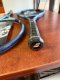 Babolat Pure Drive 2025 tennis racket, handle size 3 7