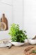 Villeroy & Boch Vapiano trio bowl set, 6 pieces, white 7