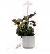 Airam Iris plant light, IP20, 5W, 240 lm, white 1