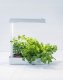 Airam Herby plant light, 10W/840, 650 lm, white 1