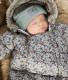 Elodie Details Elodie Details – Kombinezon do fotelika samochodowego Petite Botanic 6-12 m-cy - 7350041677178 1