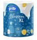 Sourcing PAPER TOWEL GRITE BLOSSOM JUMBO 2PL 1PC 6