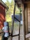 PRIMER SPRAY ALU AND GALV. METAL 400ML 1