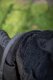 Kurtka Matrix Windblocker Plus 15