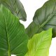 VIRIDIS Kwiat sztuczny alocasia H65cm wdoniczce 1