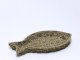 TACA W KSZTAŁCIE RYBY 45X26X4,5CM 1