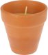 ŚWIECA CITRONELLA W DONICZCE 9X9CM 1