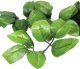 Plastikowe Listki do Kwiatów Mydlanych - 10 sztuk 1