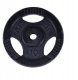 Obciążenie żeliwne z uchwytami 10kg, czarne, 30 mm 2