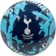 Fotboll Tottenham Hotspur 1