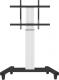 Neomounts Stojak podłogowy PLASMA-M2250SILVER 42'' - 100'' 1
