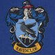 Ravenclaw flag 1