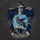 Ravenclaw Sweaters 2