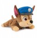 Paw Patrol Gund Hat & Collar Plush 20 cm - Chase 1