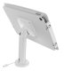 Compulocks iPad 10.2" Space Enclosure Tilting Stand 8" White, Multimedia stand, White, Aluminium, Tablet, 25.9 cm (10.2"), 100 x 100 mm 1