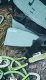 Edelrid Sendero 7