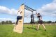 Siłownia ogrodowa GetSet Climb Mini | worek + ścianka + poręcze 100kg 1
