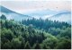 Fototapeta 3D Góry Las Mgła Natura Sypialnia Salon Tapeta Flizelina 400X280 1