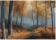 Fototapeta 3D Las Drzewa Natura Sypialnia Salon Tapeta Flizelina 400X280 1