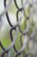 Obiektyw Laowa 100 mm f/2,8 Tilt-Shift 1x Macro do Canon RF 23