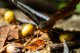 Obiektyw Laowa 55 mm f/2,8 Tilt-Shift 1x Macro do Canon RF 23