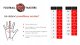 Rękawice bramkarskie FM Invictus X Training GREEN r. 9 czarno-zielone 8