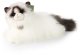 Rappa - Pluszowa realistyczna maskotka Kot Ragdoll leżący 35 cm Eco-Friendly 1