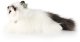 Rappa - Pluszowa realistyczna maskotka Kot Ragdoll leżący 35 cm Eco-Friendly 3