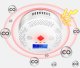 INTELIGENTNY CZUJNIK DETEKTOR CZADU GAZU TLENKU WĘGLA CO TUYA WIFI SMARTLIFE CZUJKA TEST [EUROLOOK TU-014-CM] 2