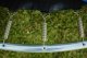 TRAMPOLINA BAUERKRAFT Z SIATKĄ ORAZ DRABINKĄ 244-252CM 6