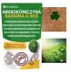 Mikrokoniczyna koniczyna biała drobnolistna Euromic nasiona 500G 9