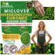 Mikrokoniczyna drobnolistna koniczyna wzbogaca trawnik nasiona 400m2 0,5kg 1
