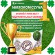 MIKROKONICZYNA do 10 cm KONICZYNA DROBNOLISTNA NASIONA 1KG - 800m2 Trawnik 3