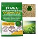 Nasiona Trawy Trawa Uniwersalna z Mikrokoniczyną Samonawożący Mieszanka 5kg 1