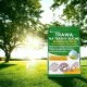Trawa na Tereny Suche Samoregenerująca Nasiona Eco Deco 5kg Odporna Susza 1