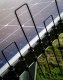 Kolce na Ptaki Gołębie Kuny na Panele Solarne Fotowoltaiczne 50cm ze Stali Nierdzewnej 304 w Kolorze Czarnym 7