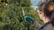 200mm Shrub Shear 10