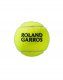Wilson Piłki do tenisa ziemnego Roland Garros Clay Court 4 szt. WRT115000 (P1516) 2